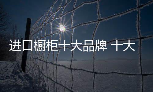 如今作为高档进口橱柜品牌