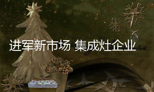 场集成灶语调太低沉