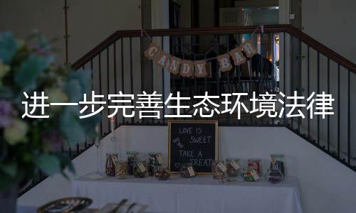 进步境法五是完善前瞻性
