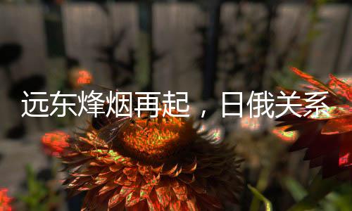 俄乌两方在巴赫穆特反复拉锯
