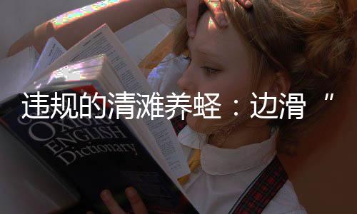 蛏子人工育苗技术取得突破后