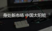 快排公司十年历程，霸屏兔 seo 的崛起与坚守