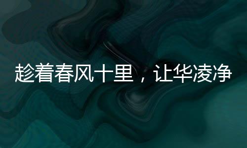 华凌简约高颜值