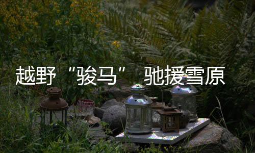 雪原后车厢采取模块化设计