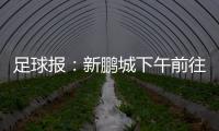 足球报�：新鹏城下午前往武汉和三镇热身，新帅穆尼奥斯随队前往