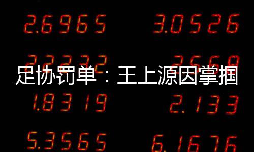 足协掌掴足协掌掴罚款3万