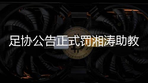 官员的足协正式管理教育