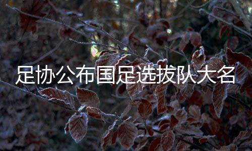 公布国足挂帅简称东亚杯)