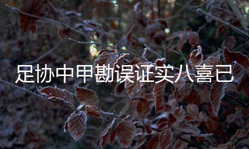 球队在间歇期悄然进行了调整