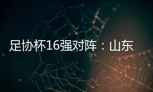 山东大连4个赛区展开