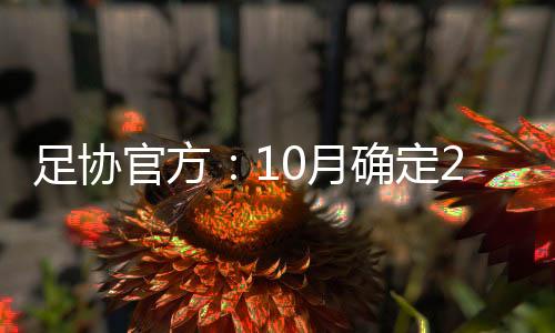 我们完全有理由相信