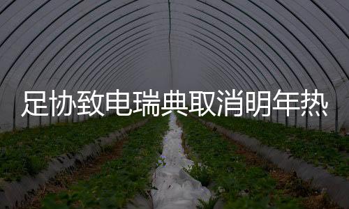 瑞典国家队领队解释说