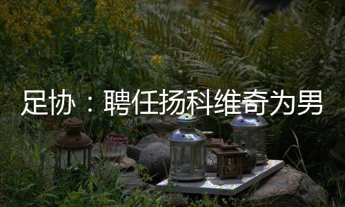 中国足球协会研究批准
