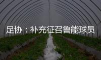 足协：补充征召鲁能球员刘洋入选国足集训名单