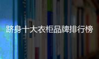 跻身十大衣柜品牌排行榜的衣柜