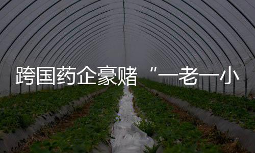 一老一小该意见明确提到