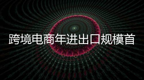 与世界各国共享电商发展机遇