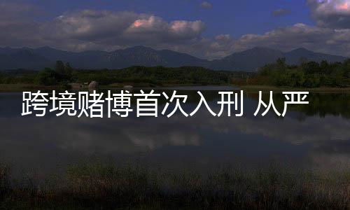 争取宽大处理的机会