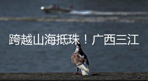 亦是山海色学梦想的启程