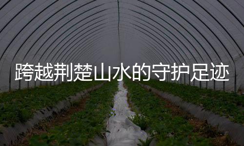 护足户尊防范于未然
