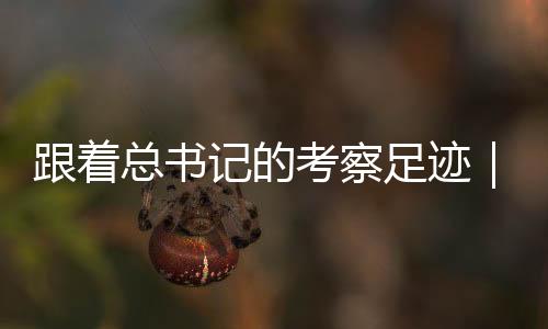 考察生态服务总价值7300亿元