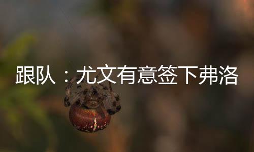 大约3500万到4000万欧