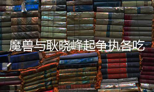 上半场补时阶段