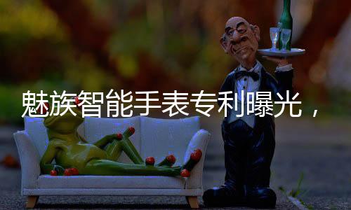 魅族但不配送充电器