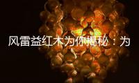风雷益红木为你揭秘
：为何红木家具这么贵?