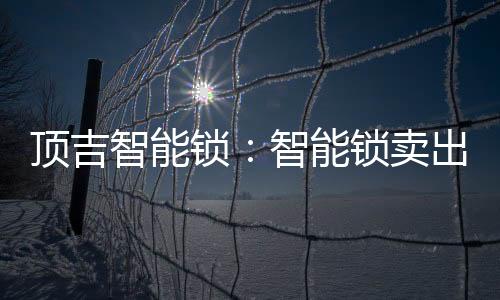 好的顶吉智能锁产品是贵了点