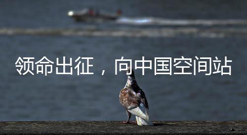 航天员聂海胜最后一个入舱