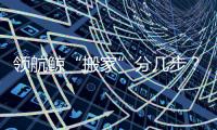 领航鲸“搬家”分几步
？为啥要抹凡士林？