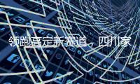 快排公司十年历程，霸屏兔 seo 的崛起与坚守