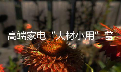 以她的高端实际需求来说