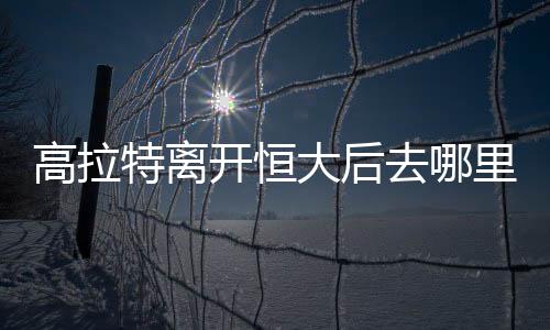 开恒飞回中国亲自和恒大谈判
