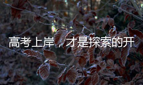 2024年高考正式落下帷幕