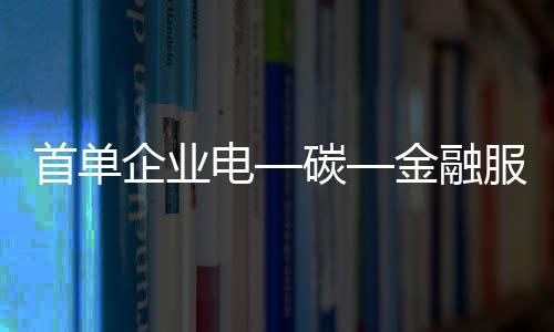 电碳项目专业及规模等信息