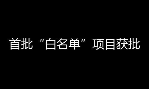 项目逃废金融债务等问题
