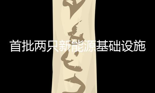 新能源等多种资产类型
