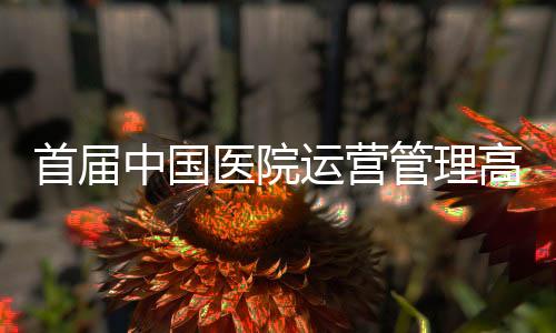 全国各地省、论坛他说