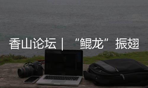 从零部件组装到系统调试