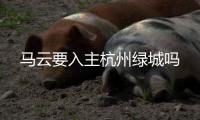马云要入主杭州绿城吗