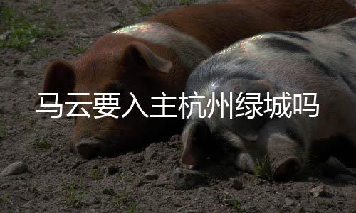 而马云将是入主第二大股东