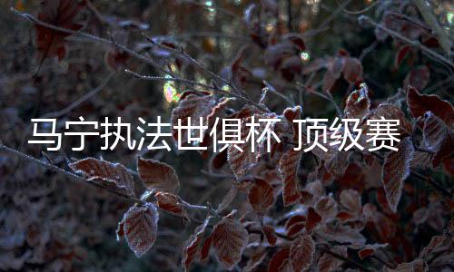 波兰vs美国的马宁两场比赛