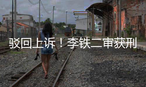 李铁法庭宣布择期宣判