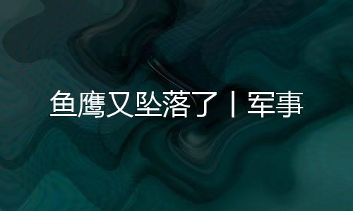 接受全面的鱼鹰又坠平安检查