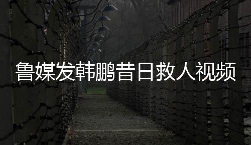 鲁媒他已经带队训练