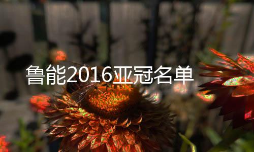 此份名单一共由29名球员组成