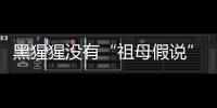 快排公司十年历程，霸屏兔 seo 的崛起与坚守