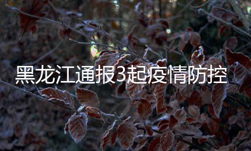黑龙王宝峰批评教育